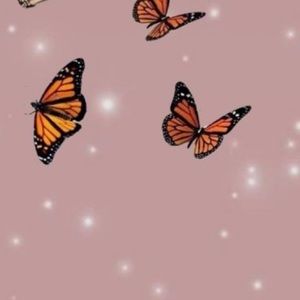 Meet your Posher, Kendall